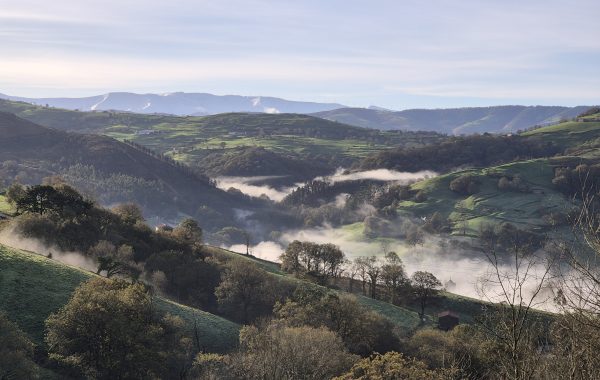 Estudio y análisis del ámbito rural de Cantabria